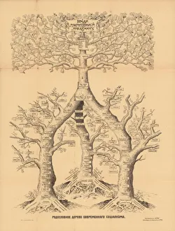 Images Dated 7th June 2019: The family tree of modern socialism, 1906. Creator: Anonymous master