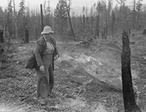 Family work clearing land by burning, near Bonners Ferry, Boundary County, Idaho, 1939. Creator: Dorothea Lange
