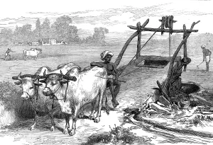 Irrigation Prints: The Famine in Bengal: Indian mode of irrigation, 1874. Creator: Unknown
