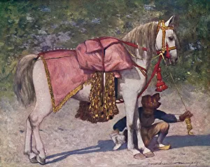 A Famous Led Horse in the Retinue of the Rao of Cutch, 1903. Artist: Mortimer L Menpes A Famous Led Horse in the Retinue of the Rao of Cutch, 1903. Artist: Mortimer L Menpes