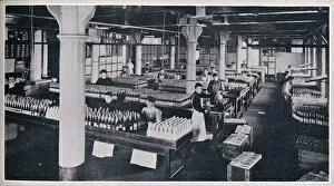 Condiment Gallery: Where the famous Yorkshire Relish is made up, 1906