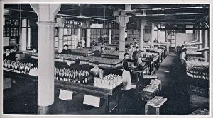 Condiment Gallery: Where the famous Yorkshire Relish is made up, 1906