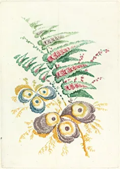 Jean Baptiste Pillement Prints: Fantastic Flowers with Oyster-shell Blossoms, c. 1795. Creator: Anne Allen