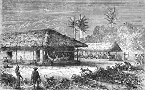 Hammocks Prints: Farm in Brazil; Rio De Janeiro and the Organ Mountains