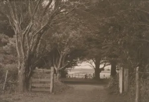 Una Garlick Prints: On a farm Hawera, Taranaki, N. Z. 1920s. Creator: Eunice Harriett Garlick