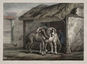 Horace Vernet Collection: Farm Horse. Creator: Horace Vernet (French, 1789-1863)