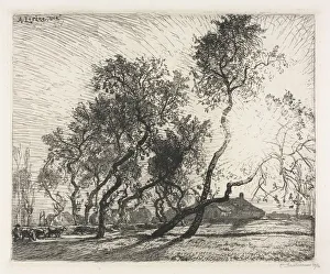 Farm with Poplar Trees of Holland, 1914. Creator: Auguste Louis Lepere (French, 1849-1918)