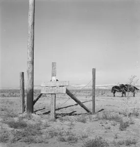For Sale Prints: Farm for sale, Willow Creek area, Malheur County, Oregon, 1939. Creator: Dorothea Lange