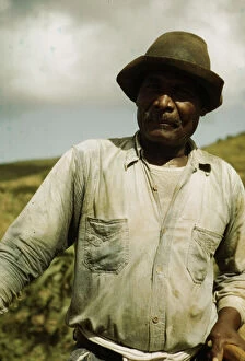 Farm Security Administration borrower, vicinity of Frederiksted, St. Croix, Virgin Islands, 1941. Creator: Jack Delano