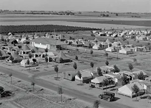Tent City Prints: Farm Security Administration camp for migrant agricultural workers at Shafter