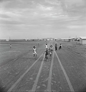 Farm Security Administration Casa Grande project, Arizona, 1938. Creator: Dorothea Lange