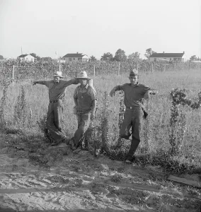 Jeans Prints: Farm Security Administration (FSA) cooperative farm