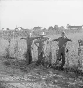 Jeans Prints: Farm Security Administration (FSA) cooperative farm