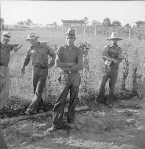Jeans Prints: Farm Security Administration (FSA) cooperative farm