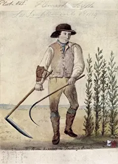Crops Prints: Farm worker using the Flemish scythe, c1808. Creator: Unknown