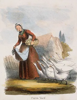 Farm Yard, c1845. Artist: Benjamin Waterhouse Hawkins