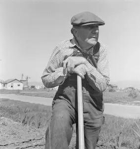 Flat Cap Prints: Farmer who has small plot... on outskirts of Salinas, CA, 1939. Creator: Dorothea Lange