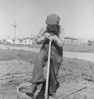 Farmer who has small plot... on outskirts of Salinas, CA, 1939. Creator: Dorothea Lange
