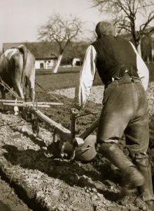 Nazis Prints: A farmer at work, ploughing a field, Germany, 1936