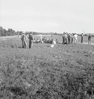 Players Prints: Farmers baseball game in the country