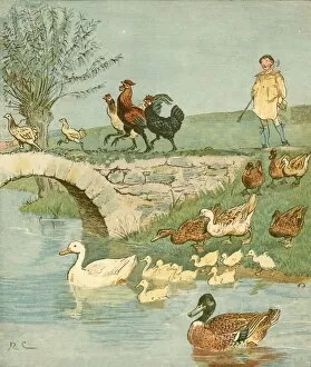 Rooster Gallery: The Farmers Boy with chickens and ducks, c1881. Creator: Randolph Caldecott