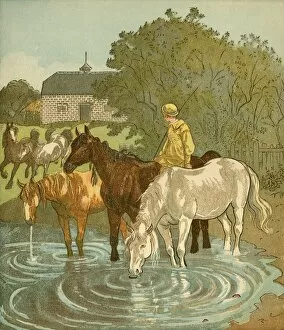 Randolph Caldecott Gallery: The Farmers Boy watering horses, c1881. Creator: Randolph Caldecott