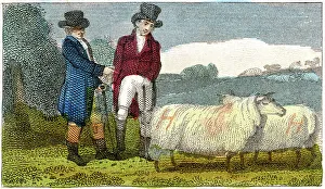 Farmers discussing Dishley (New Leicester) sheep, 1822