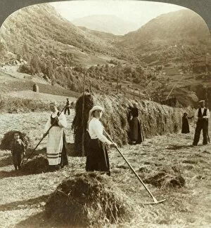 Underwood Travel Library Gallery: A farmers family making hay in a sunny field between the mountains, Roldal, Norway, c1905
