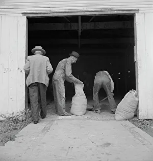 Workwear Prints: Farmers sack mixed grasshopper bait for use on their farms
