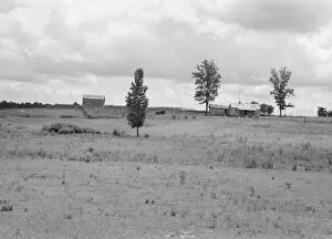 Racism Collection: Farmhouse and landscape of Negro tenant family... Near Pittsboro, North Carolina, 1939