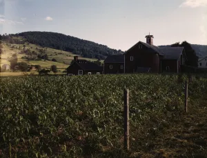 John Collier Prints: Farmland along the Delaware River, N. Y. 1943. Creator: John Collier