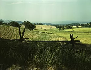 Farmland in the Taconic range, near the Hudson River Valley in New York state, 1943. Creator: John Collier