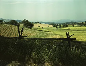 John Collier Prints: Farmland in the Taconic range, near the Hudson River Valley in New York state