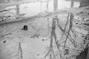 Bad Weather Gallery: Farmyard covered with flood waters near Ridgeley, Tennessee, 1937. Creator: Walker Evans