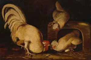 Chicken Coop Collection: Farmyard Fowls, c. 1827. Creator: John James Audubon