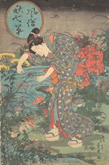 Fashionable Seven Autumn Plants (Fuzoku aki nanakusa), first hal Fashionable Seven Autumn Plants (Fuzoku aki nanakusa), first hal