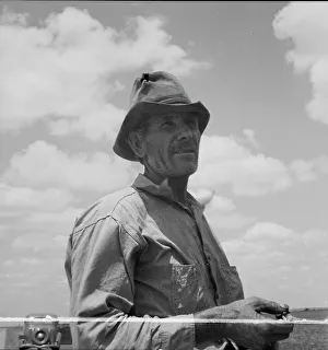 Father of Texas migrant family who follow the cotton crop from Corpus Christi... 1937. Creator: Dorothea Lange