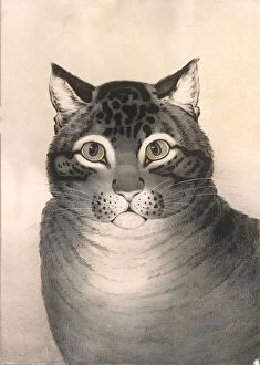 Cats Collection: The Favorite Cat, 1838-46. 1838-46. Creator: Nathaniel Currier
