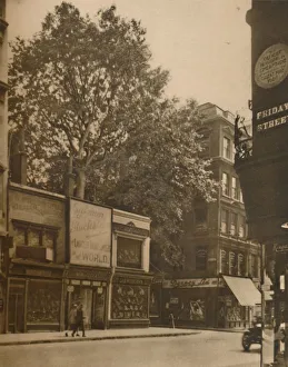 A Favoured Inmate of the City: The Plane-Tree in Cheapside, c1935. Creator: SO Gorse