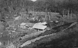 Sudeste Prints: Fazenda de Criacao (Campos do Jordao), (Criacao Farm), 1895. Artist: Axel Frick