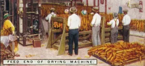 Feed End of Drying Machine, 1926