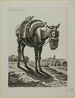 Full Prints: Feeding Mule - Front, from Die Zweite Thierfolge, 1800. Creator: Johann Christian Reinhart