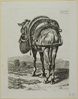 Full Prints: Feeding Mule - Rear, from Die Zweite Thierfolge, 1800. Creator: Johann Christian Reinhart