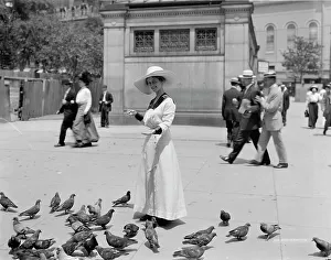 Pigeon Prints: Feeding the pigeons, Boston Common, possibly 1911 or 1912. Creator: William H. Jackson