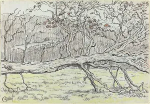 Normandy Prints: Felled Tree, Normandy, 1898. Creator: Georges Lacombe