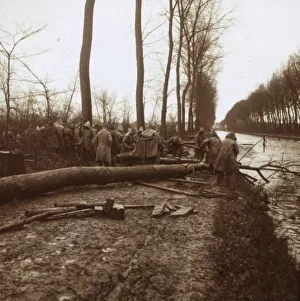 Oise Prints: Felling trees, Noyon, northern France, c1914-c1918