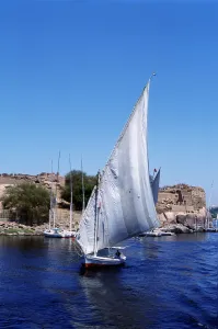 Feluccas on the Nile, Elephantine Island near Aswan, modern Egypt Feluccas on the Nile, Elephantine Island near Aswan, modern Egypt