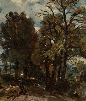 Constable John Gallery: Fen Lane, East Bergholt, ca. 1811. Creator: John Constable