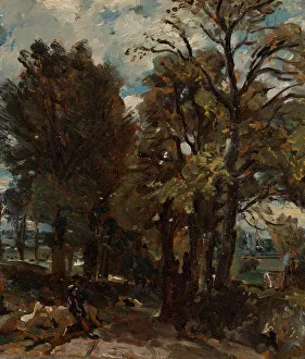 Constable John Gallery: Fen Lane, East Bergholt, ca. 1811. Creator: John Constable
