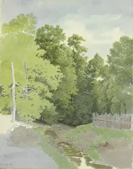 Shaded Prints: A fence along a A dry streambed at the edge of the forest